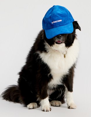 OFFLINE By Aerie Corduroy Baseball Hat