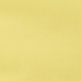 Cozy Yellow