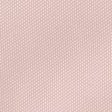 Pink Petal