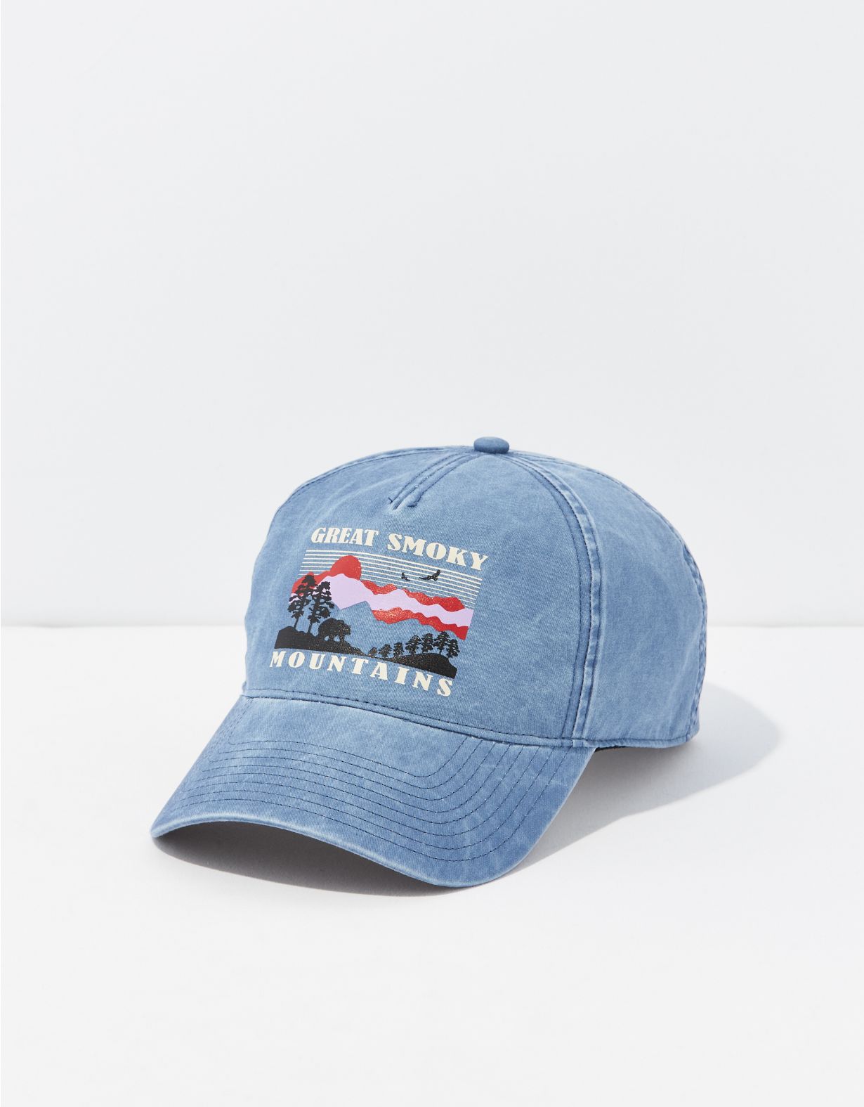 American Needle Smoky Mountains Baseball Hat