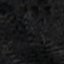 True Black