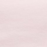 Pink Petal
