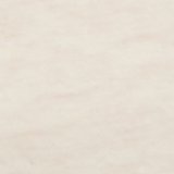 Superchill Cotton Logo Thong Underwear