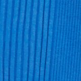 Cobalt Blue