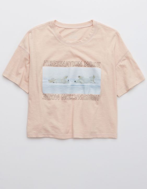 Aerie Cropped Oversized T-Shirt