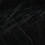 True Black