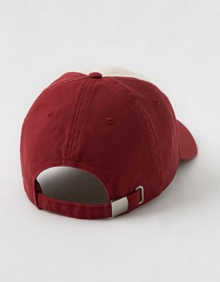 Aerie Colorblock Baseball Hat