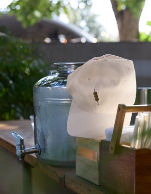 Aerie Graphic Baseball Hat