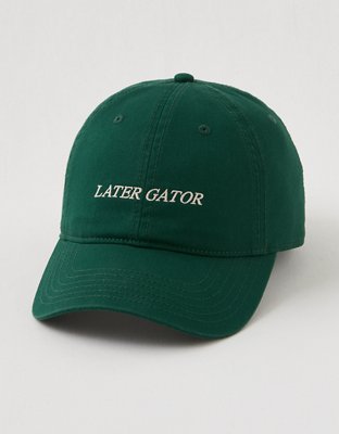 Aerie Graphic Baseball Hat from American Eagle - $19.95
