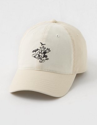 Aerie Colorblock Baseball Hat