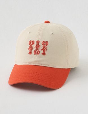 Aerie Colorblock Baseball Hat