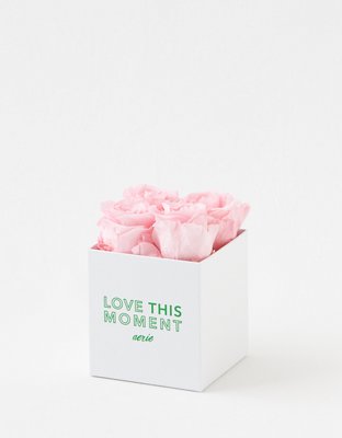Rose Farmers Love This Moment Roses 4-Count