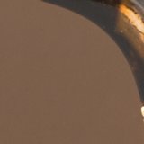 Tarte