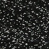 True Black