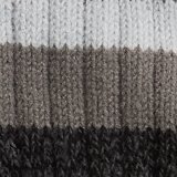Shell Gray