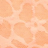 Iced Apricot