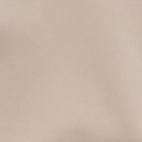 SMOOTHEZ Microfiber Lace Thong Underwear