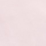 SMOOTHEZ Microfiber Lace Thong Underwear