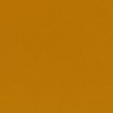 Amber Brown