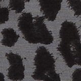 Shell Gray
