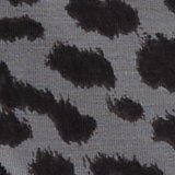 Shell Gray