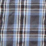 Shell Gray