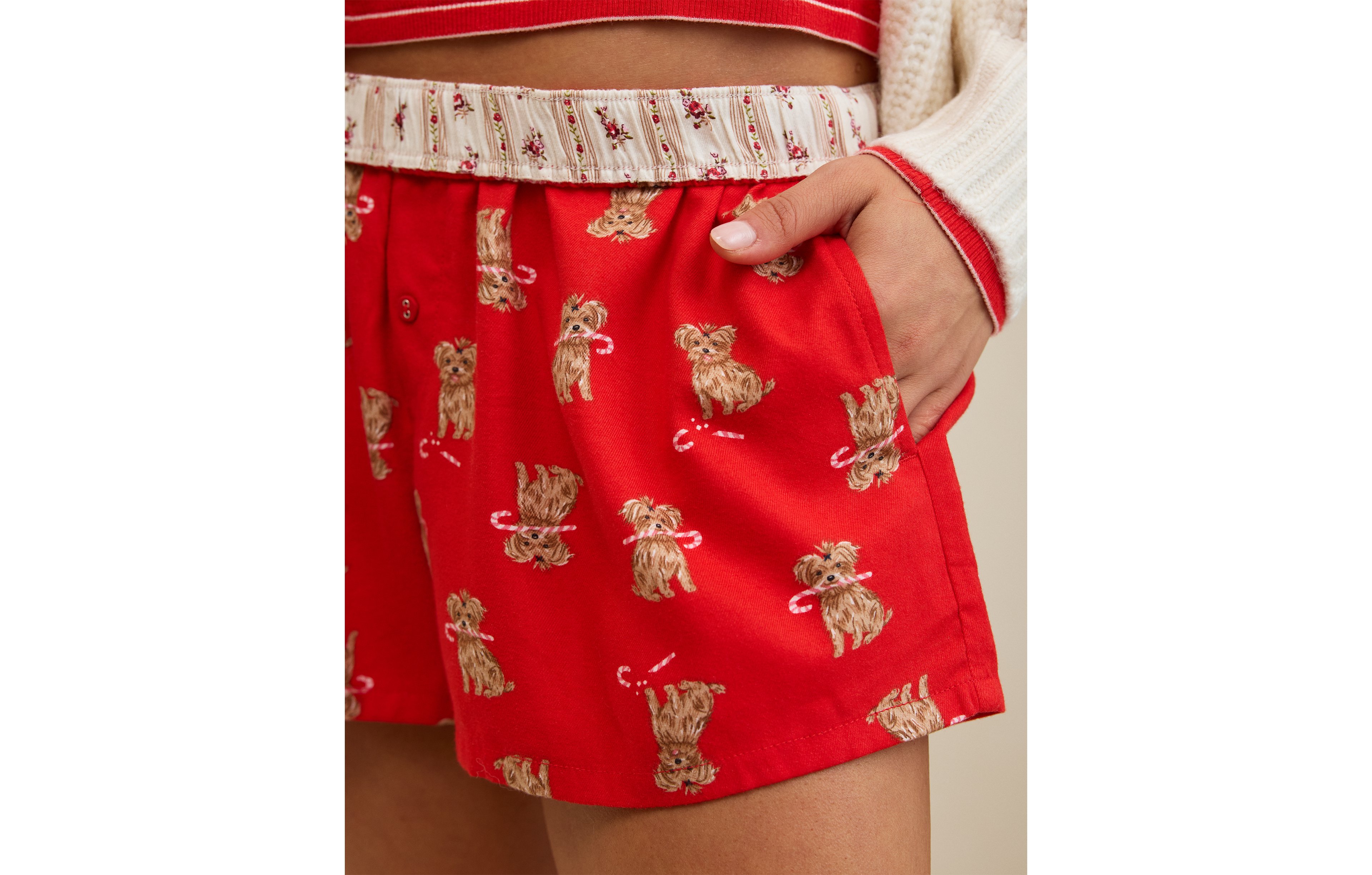 Aerie Checked Out Flannel Boxer