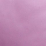 Violet Willow