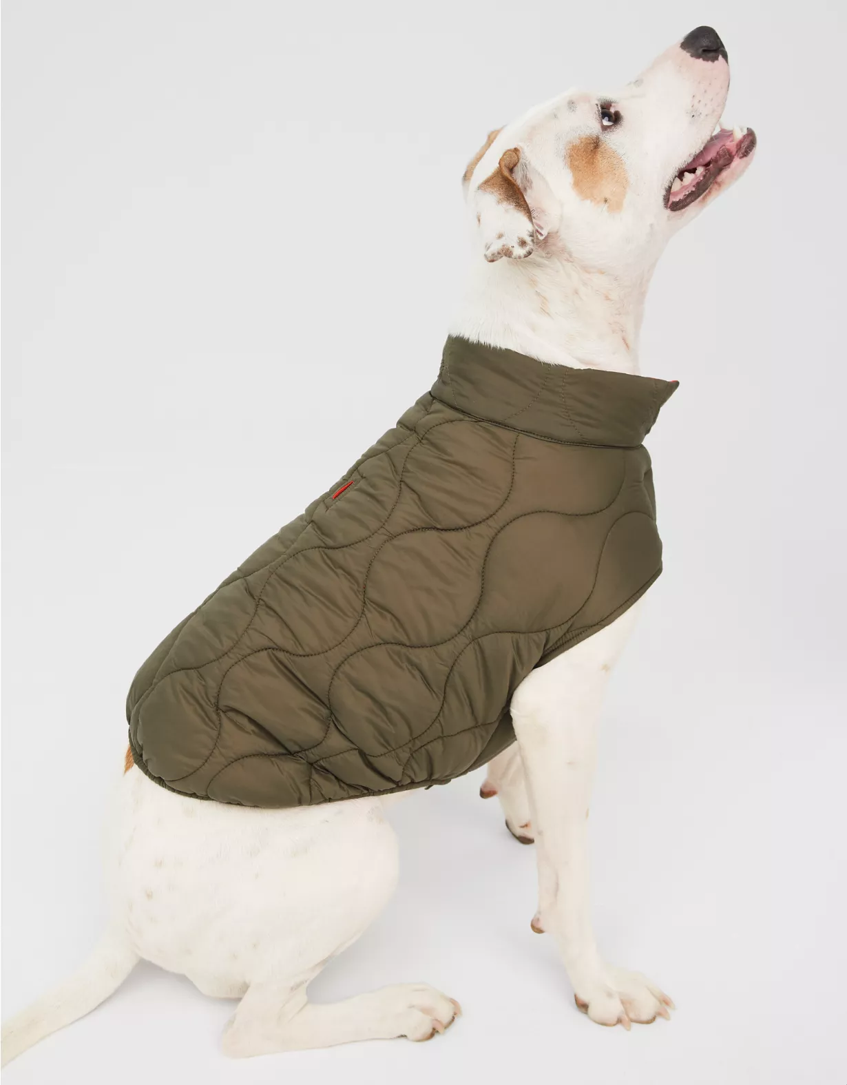 OFFLEASH By Aerie Dog Puffer Vest