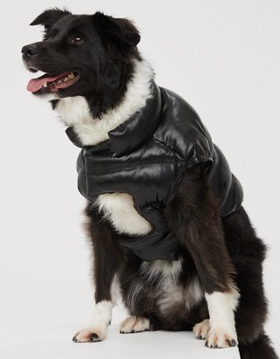 Faux Fur Dog Biker Jacket: Black