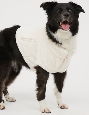 Aerie store dog clothes