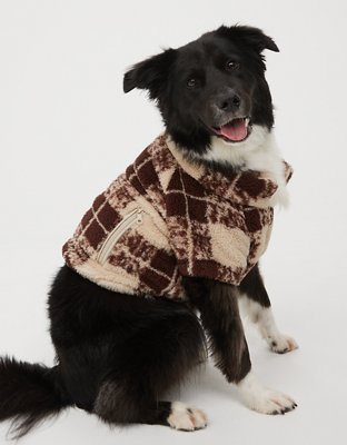 American eagle shop dog sweater