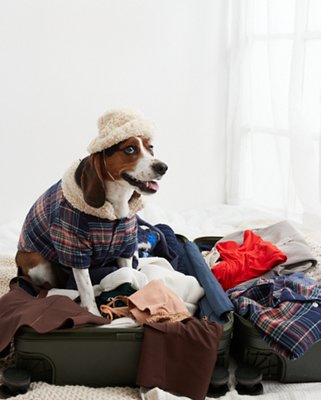 Женские головные уборы Aerie OFFLEASH By Aerie Pet Sherpa Bucket Hat — фото 5