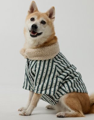 OFFLEASH By Aerie Flannel Dog Shirt