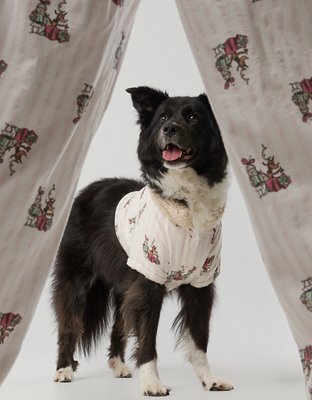 OFFLEASH By Aerie Flannel Dog Shirt