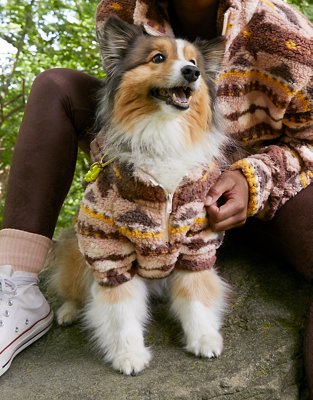 puppy sweaters near me