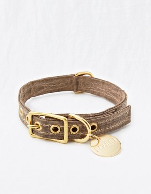 Found My Animal Brown Canvas Collar