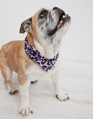 OFFLEASH By Aerie Dog Bandana