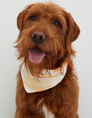 OFFLEASH By Aerie Dog Bandana