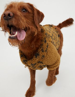 Sherpa dog outlet hoodie