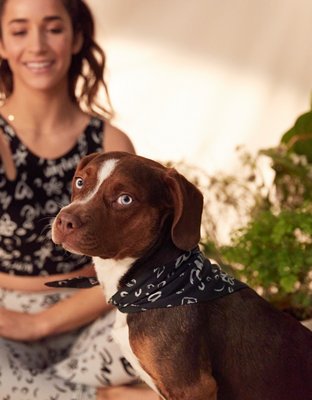 OFFLINE by Aerie x Aly Raisman Dog Bandana