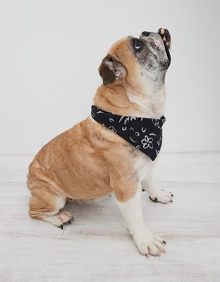 OFFLINE by Aerie x Aly Raisman Dog Bandana