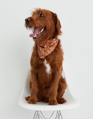 Aerie OFFLINE by Aerie x Aly Raisman Dog Bandana — фото 2