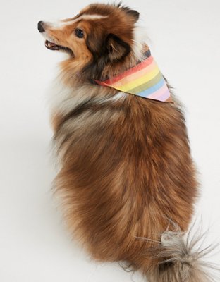 OFFLINE by Aerie x Aly Raisman Dog Bandana