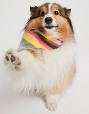 OFFLINE by Aerie x Aly Raisman Dog Bandana