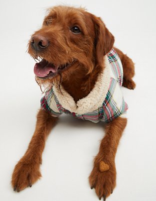 Aerie deals dog clothes