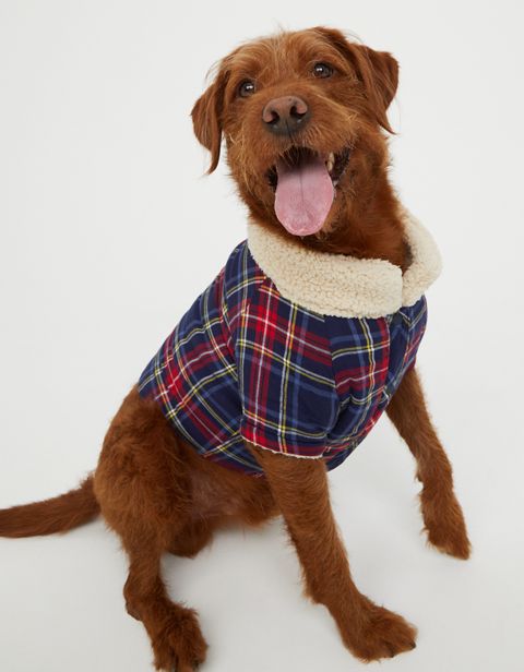 Женские рубашки Aerie OFFLEASH By Aerie Flannel Dog Shirt