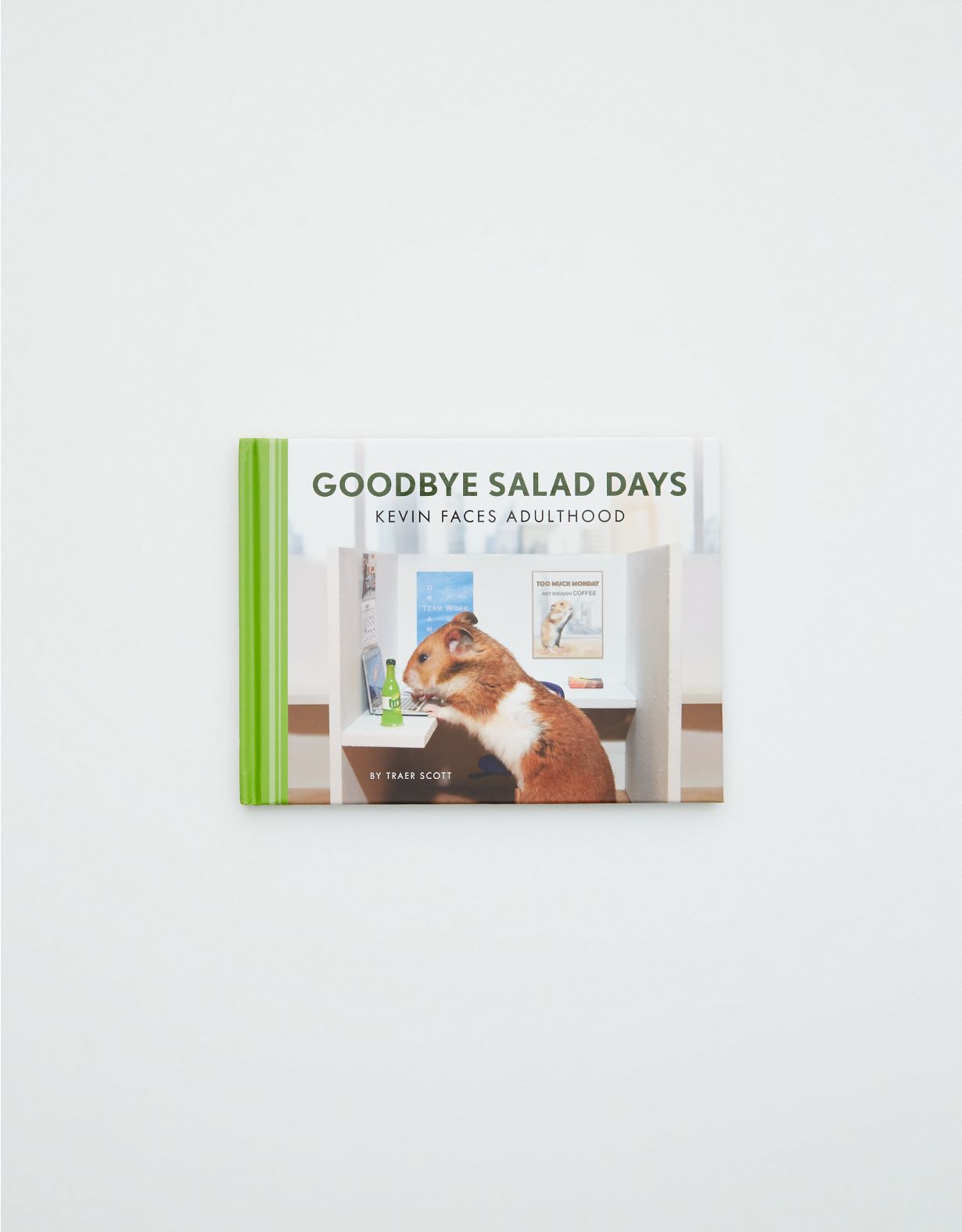 Goodbye Salad Days Book