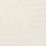 Soft Muslin
