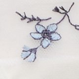 Soft Muslin